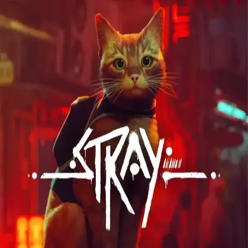 Stray PSN Maroc PS4 PS5 prix Maroc